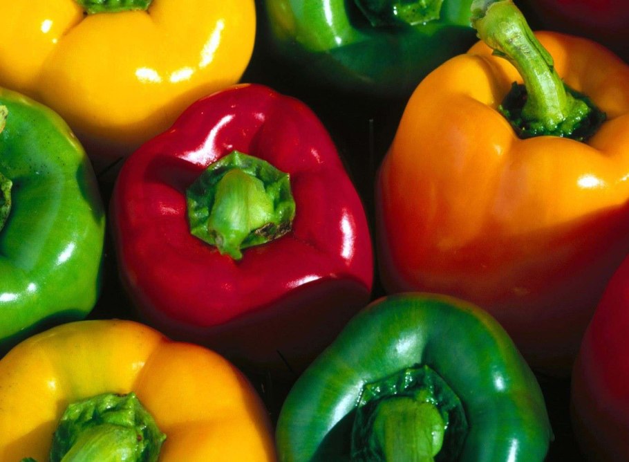 Перец болгарский светофор