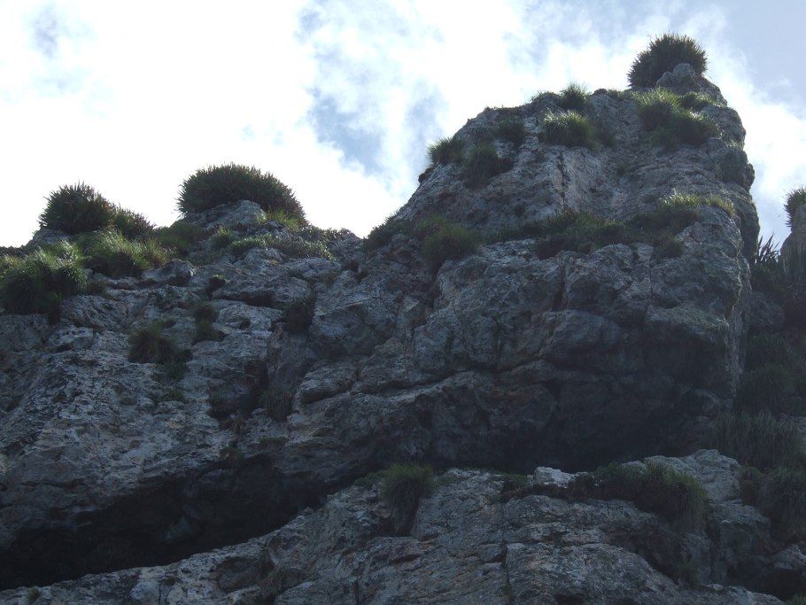 Сперматозоид и яйцеклетка