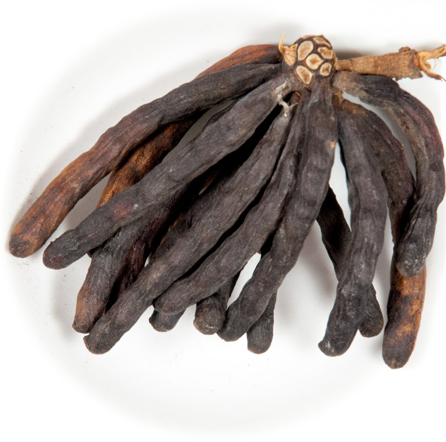 Посадка перца болгарского по 2 штучки в лунку