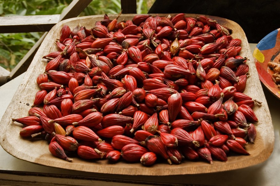 Вьетнамский перец Чили