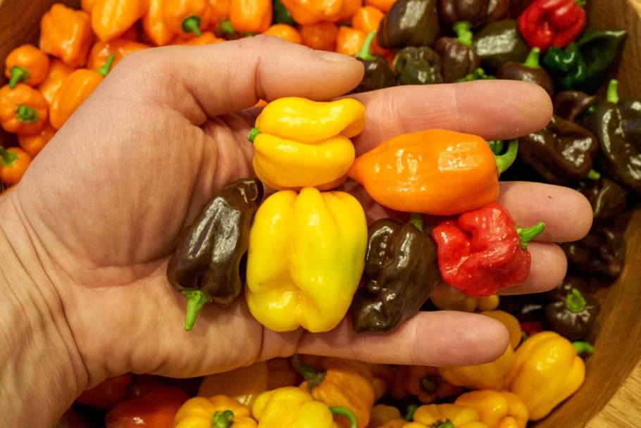 Перец сладкий голиаф