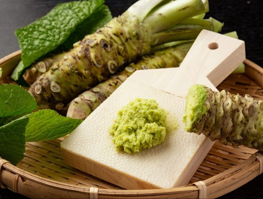 Корень васаби