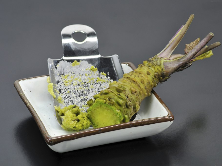 Васаби (эвтрема японская)