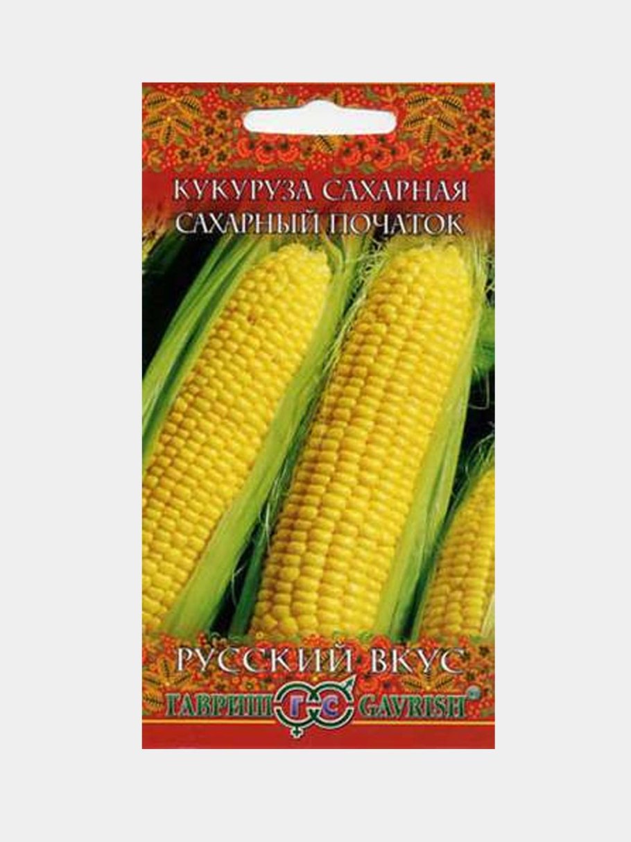 Кукуруза Кубанская сахарная