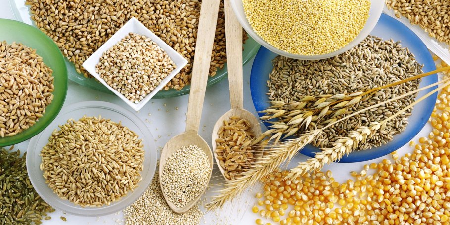 Сидераты злаковые Колос