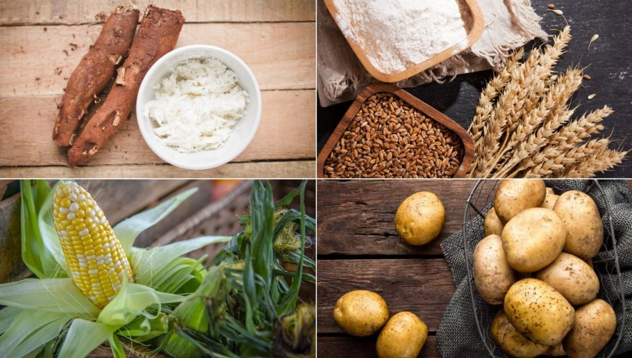 Ячмень (Hordeum l.)