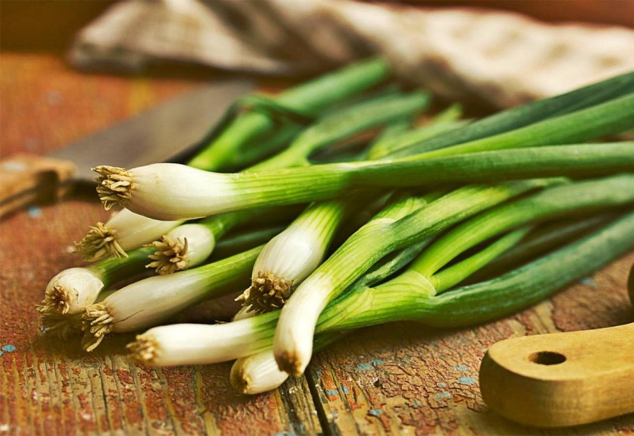 Лук скорода шнитт