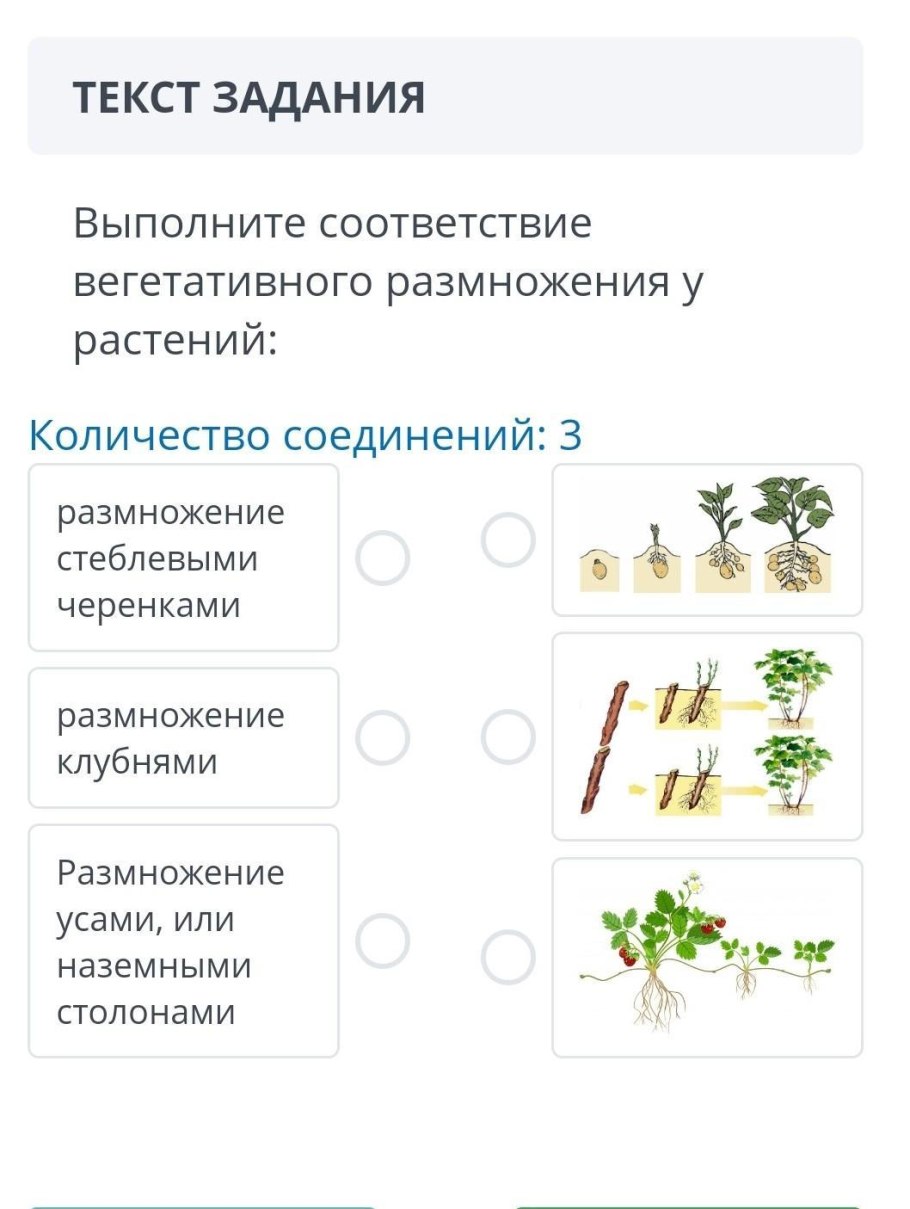 Значение вегетативного размножения растений