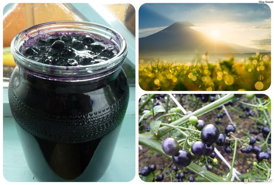 Черника форте санберри