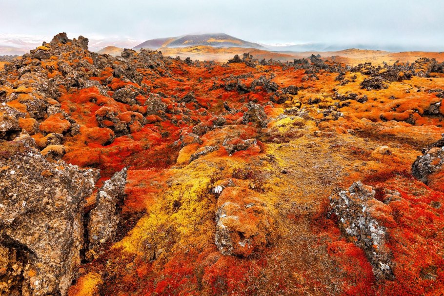 Лавовые поля Исландия