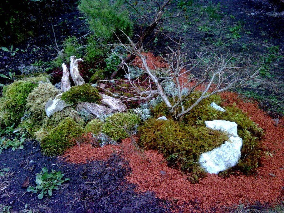 Накипными лишайниками и мхами.