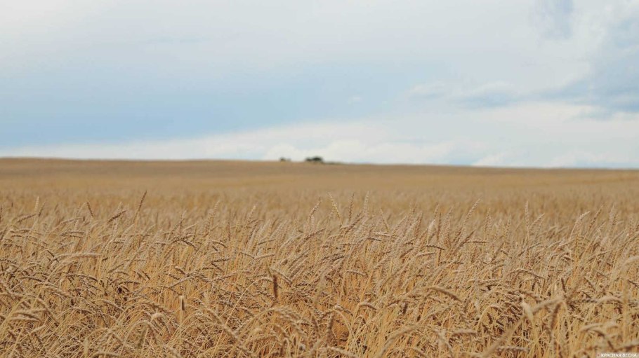 Засуха в ЕС