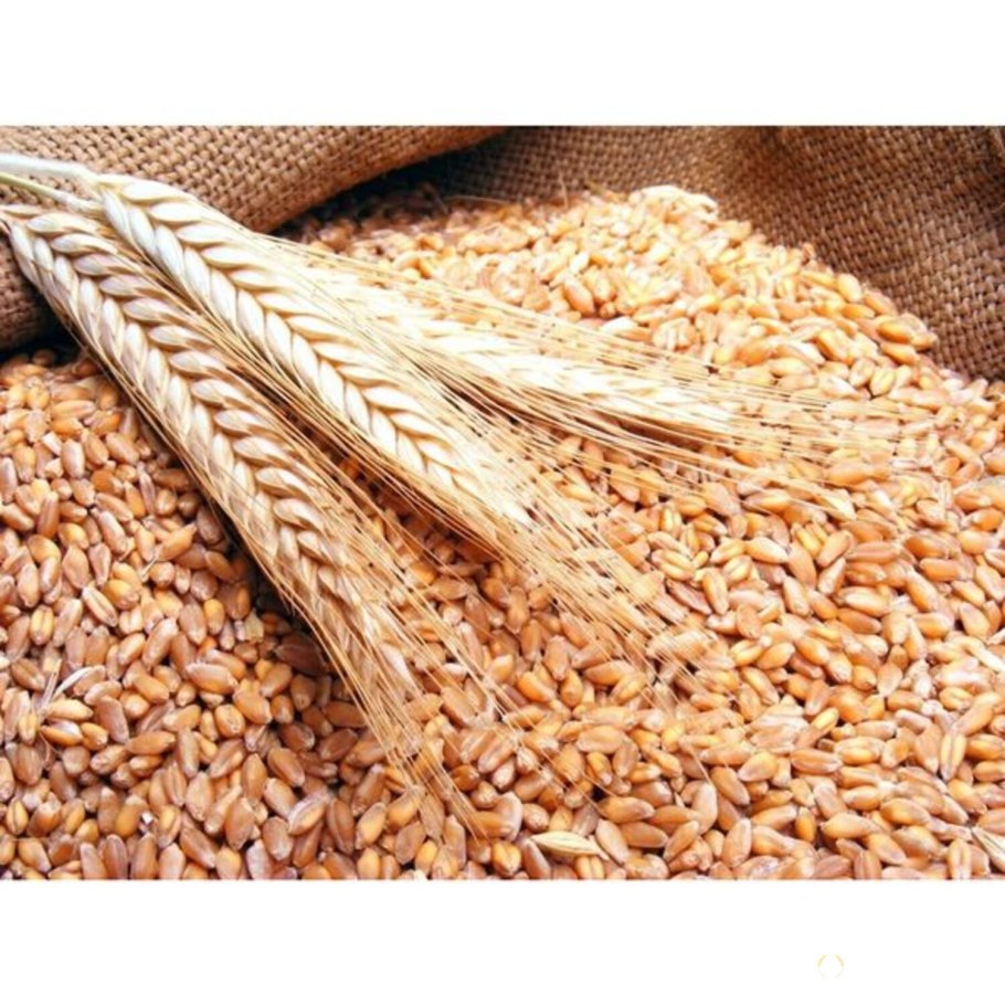 Пшеница подорожала