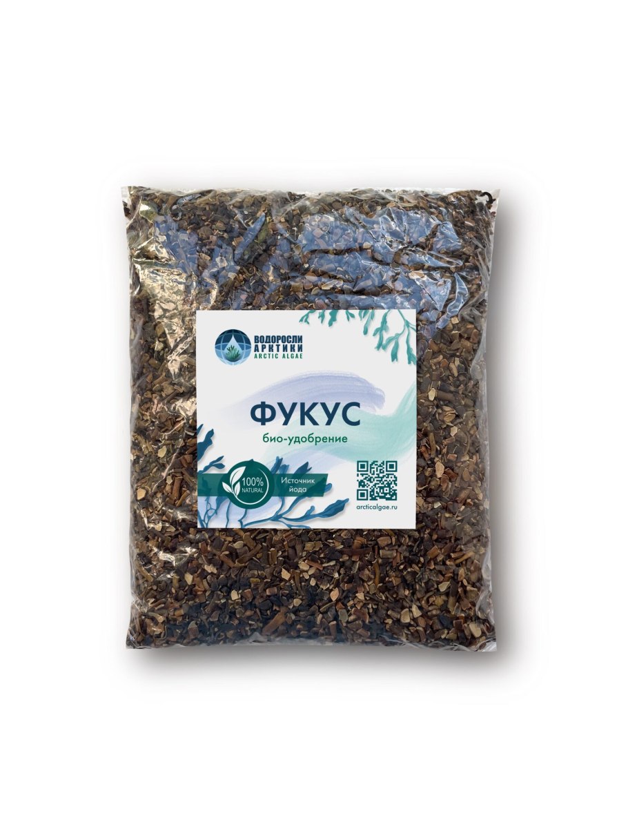 Фукусы морские водоросли