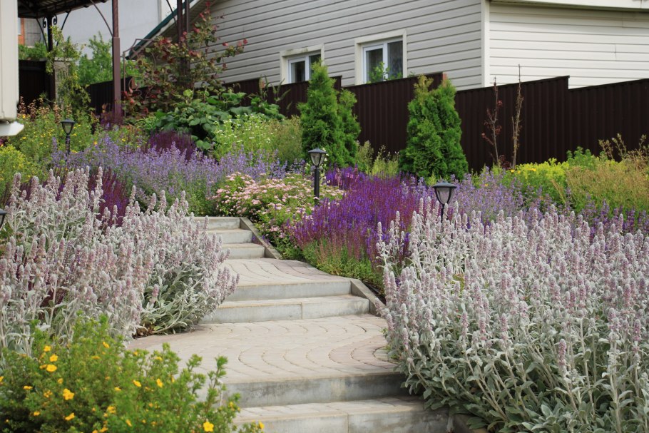 Дизайн ландшафтный