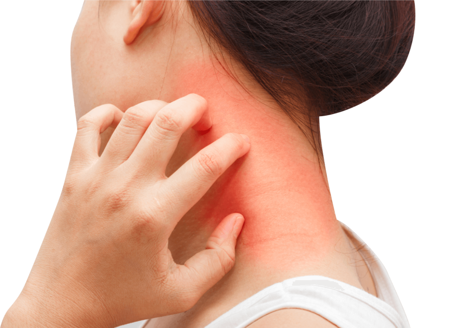 Семена лотоса трипофобия