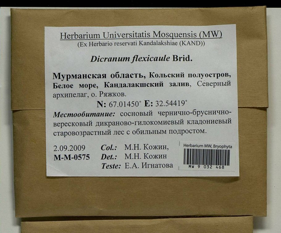 Бактериальный вагиноз гарднереллёз