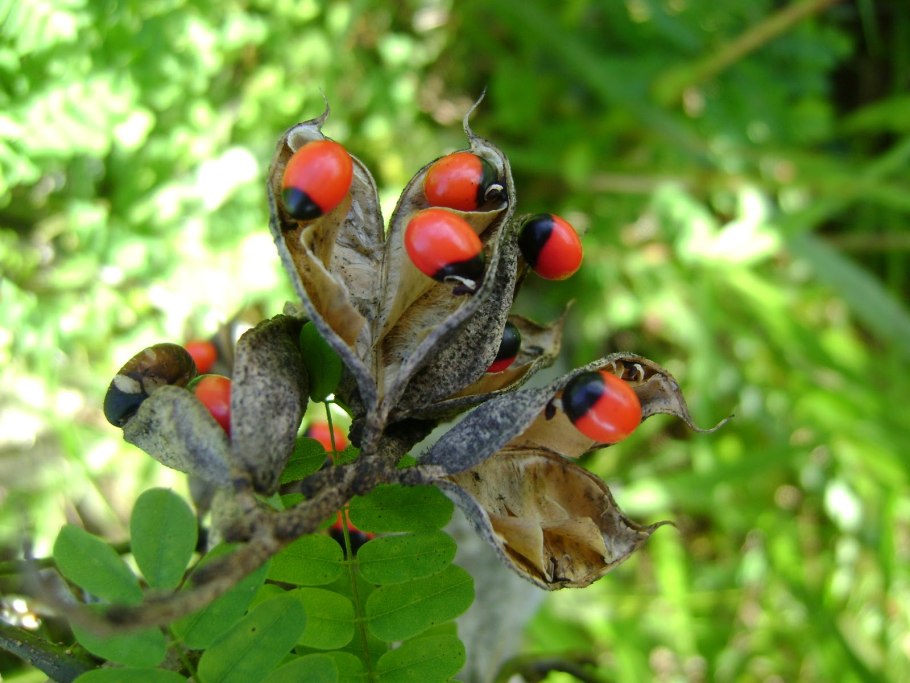 Абрус молитвенный четки