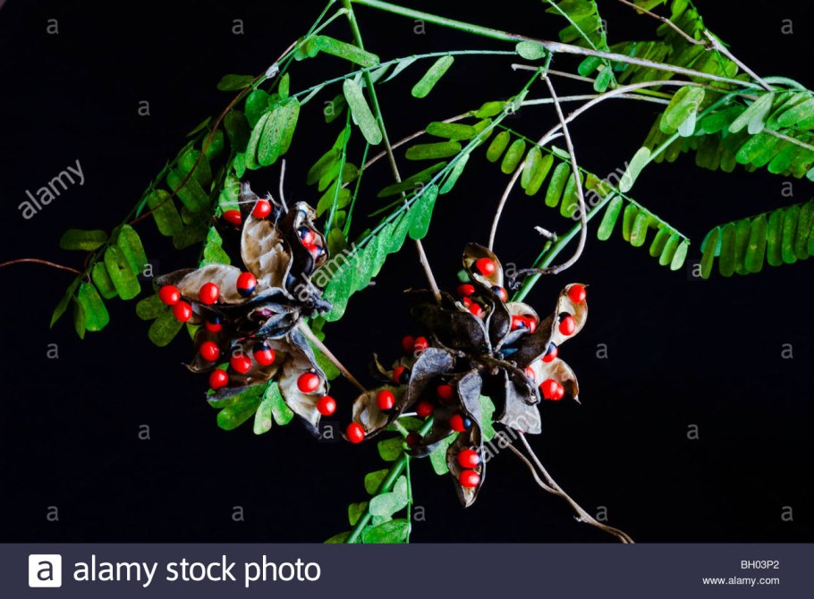 Абрус молитвенный украшения