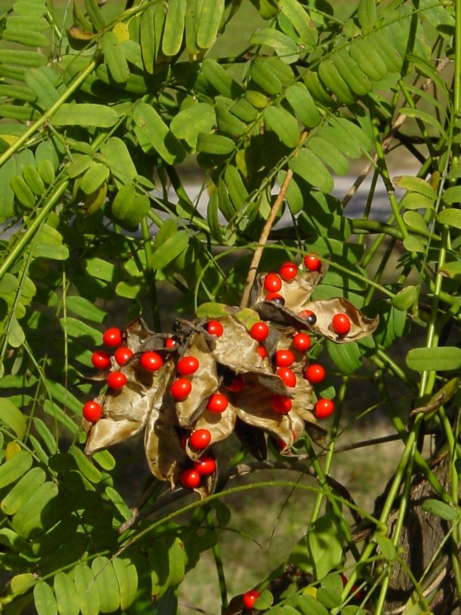 Абрус молитвенный украшения