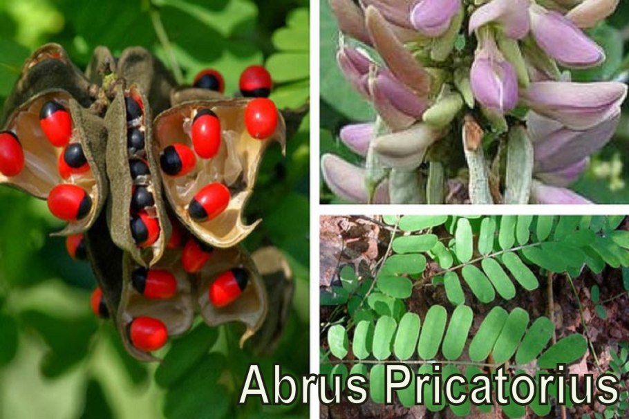 Абрус молитвенный