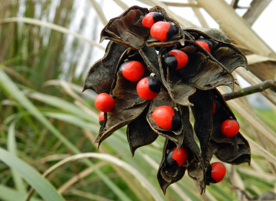 Абрус молитвенный