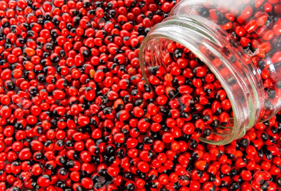 Абрус молитвенный дерево