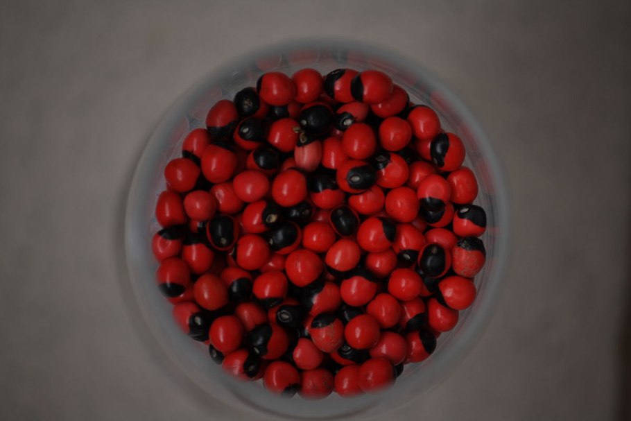 Абрус молитвенный дерево