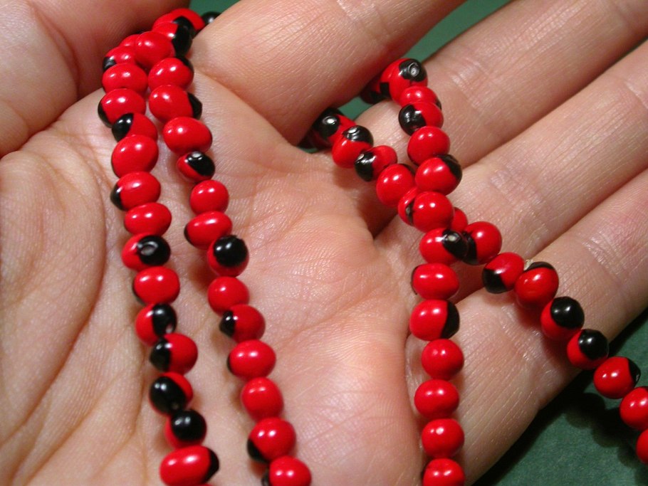 Абрус молитвенный (crab´s eye)