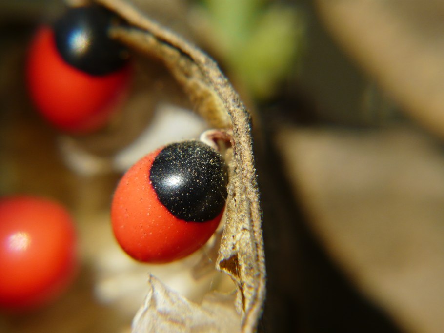 Абрус молитвенный