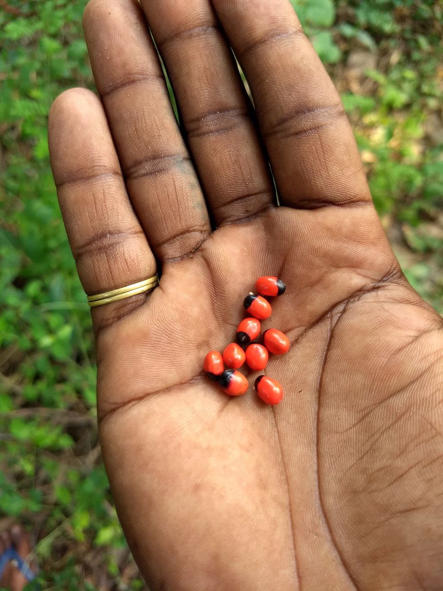 Абрус молитвенный семена «Layali Dammasq»