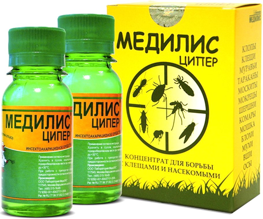 Джоди Гассон горничная