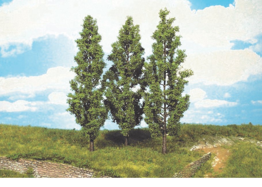 Тополь башкирский пирамидальный