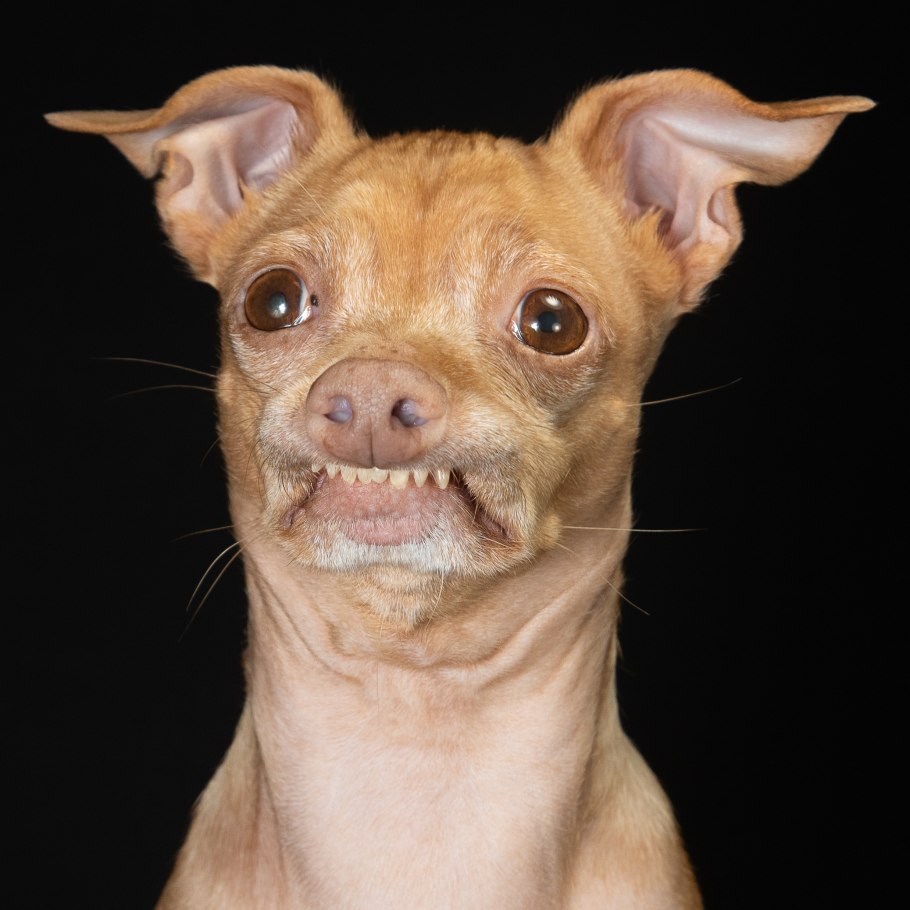 Рыболовство Японии тунец