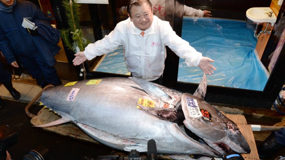 Гигантский тунец весом 411.6