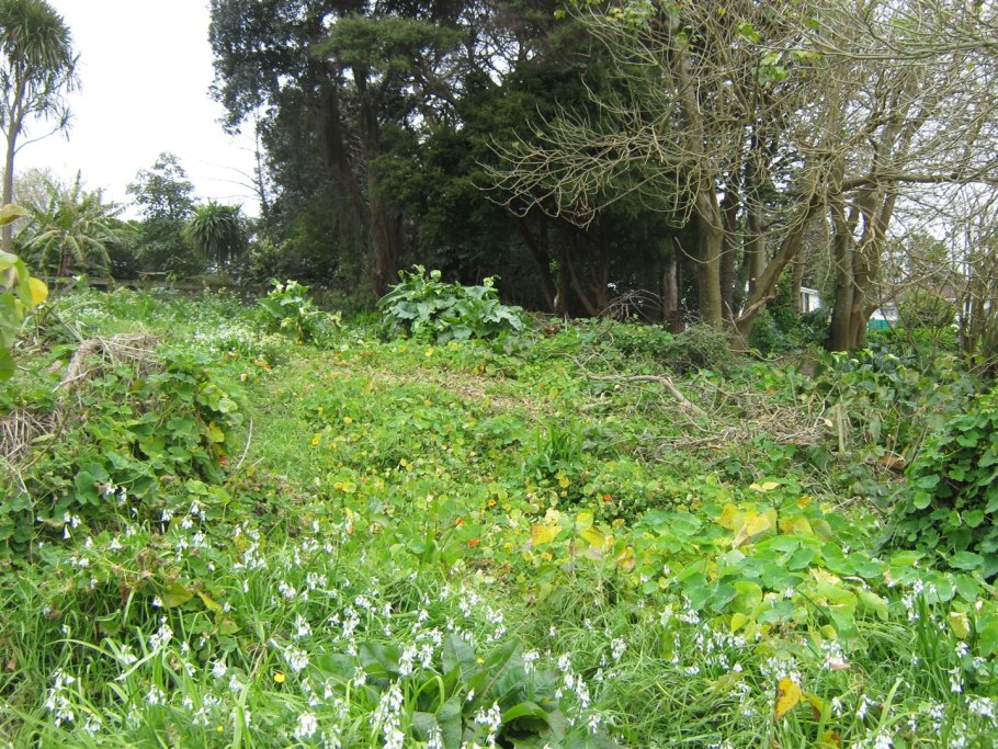 Пронзеннолистный лист