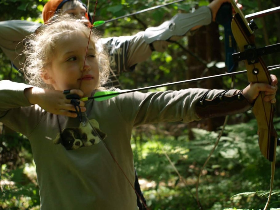 Лук Каприкорн репчатый