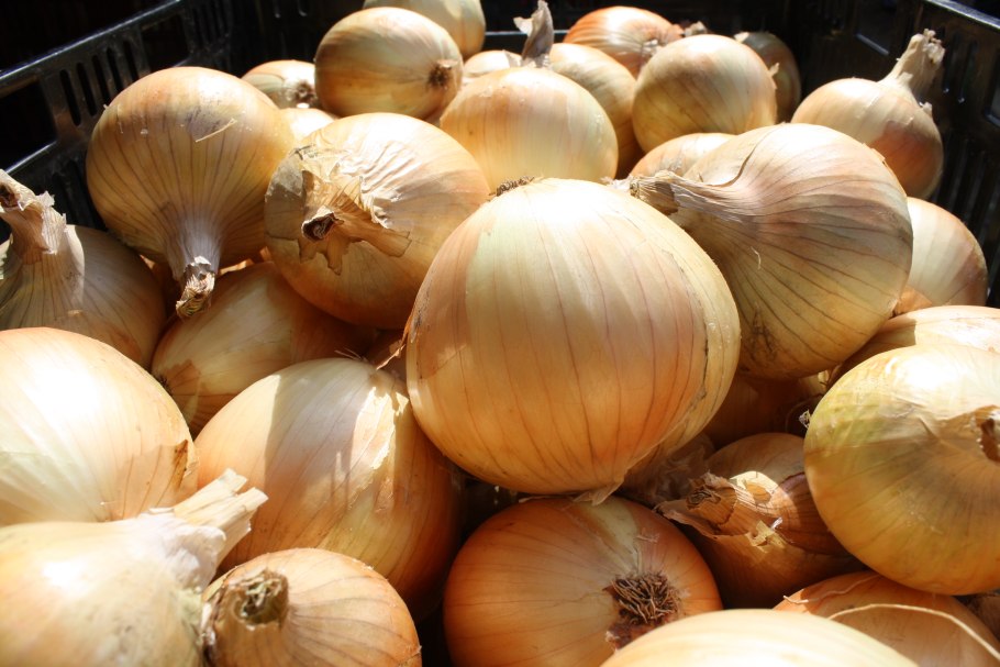 Стрельба из лука Уфа