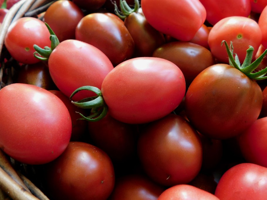 Черный мавр черри