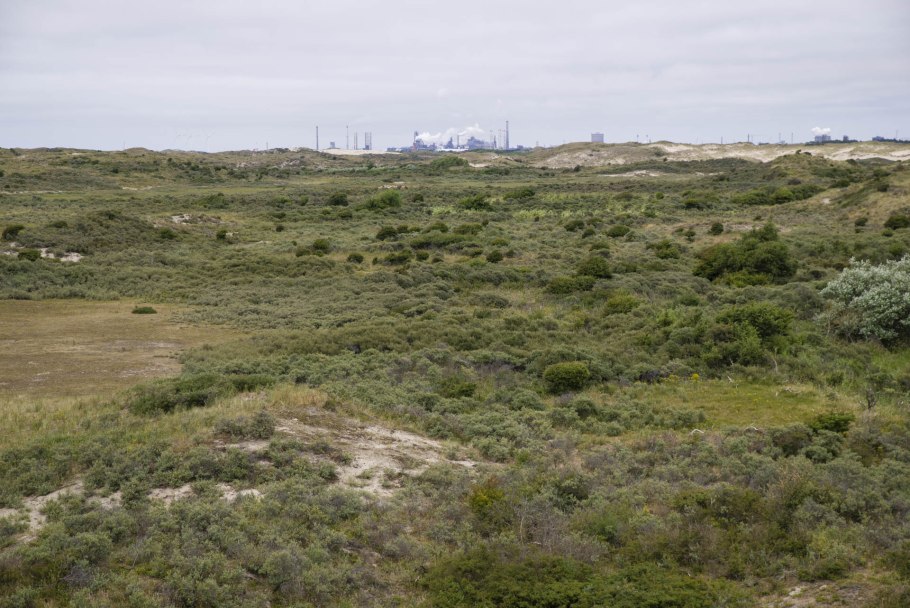 Портрет Лопухиной Лермонтова