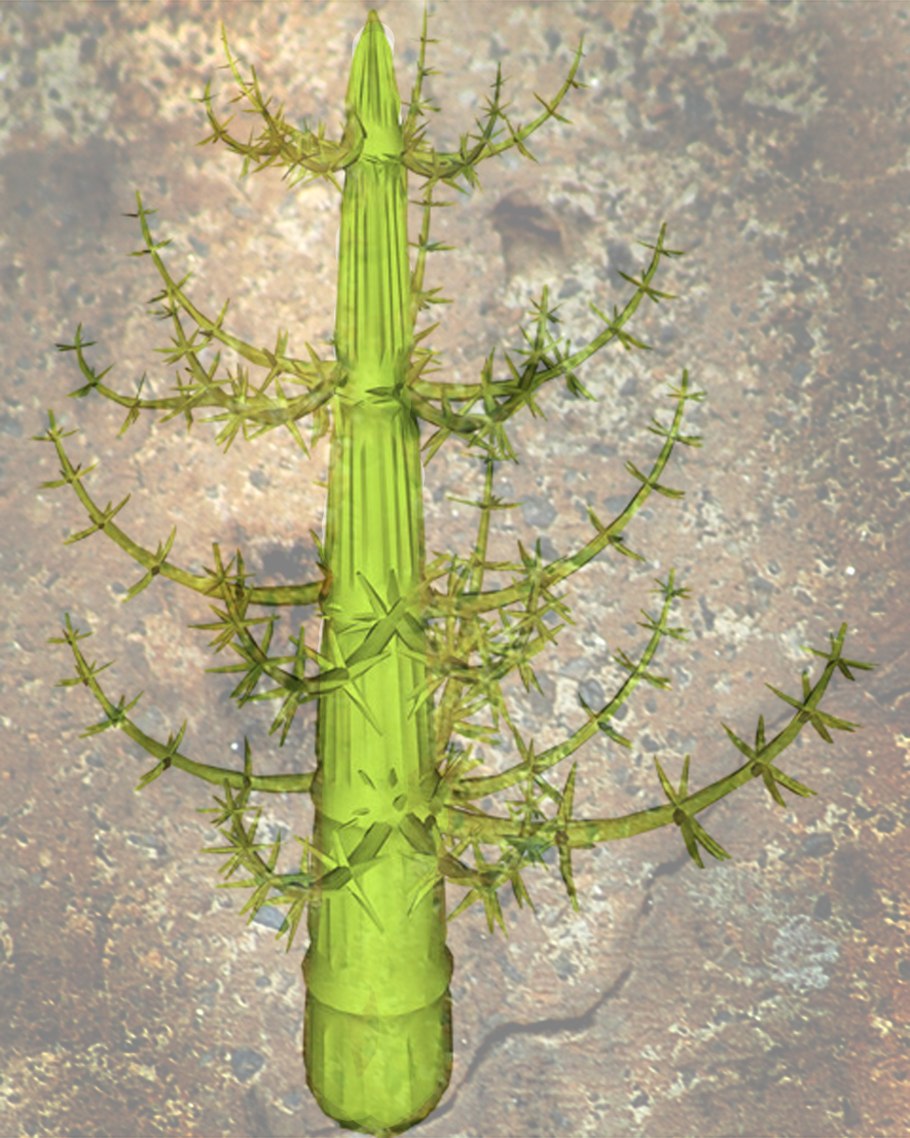 Каламиты это древние хвощи