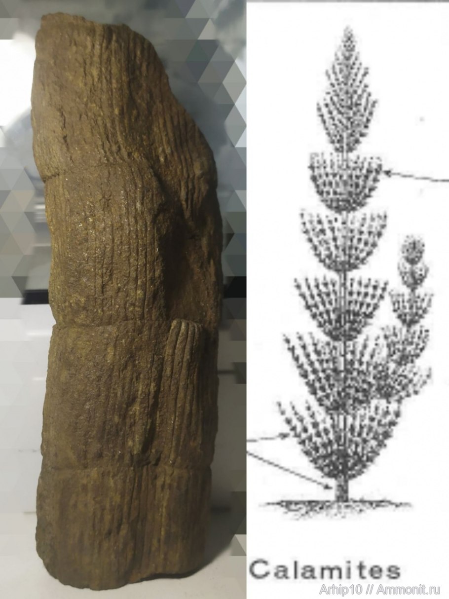 Каламит камень