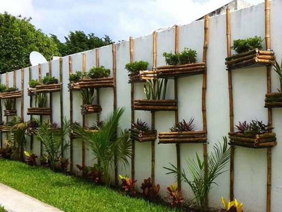 Вертикальное Озеленение плетистая роза