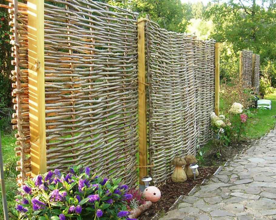 Плющ(Hedera Helix) Живая изгородь