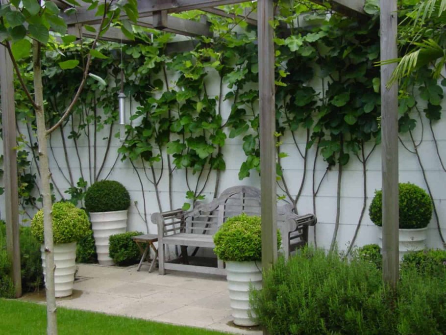 Украшение забора на даче