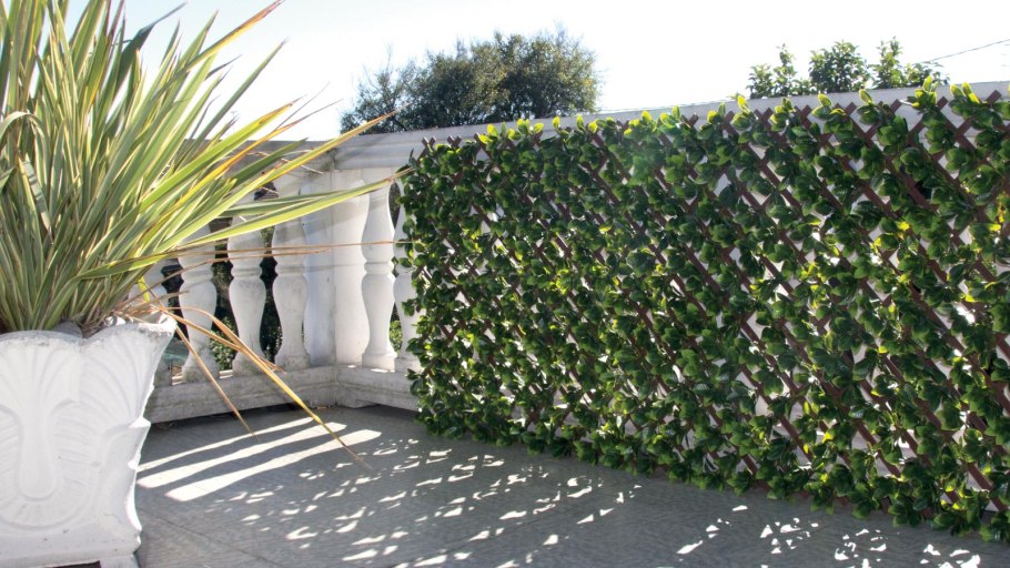 Деревянный забор в саду