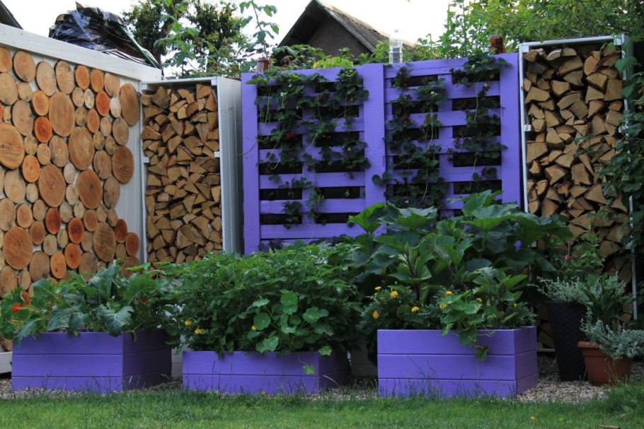 Насаждения вдоль забора