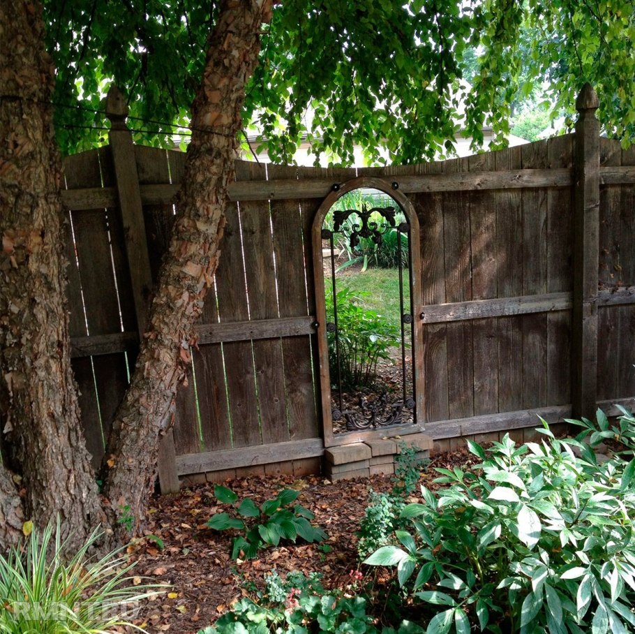 Фитостены 2020