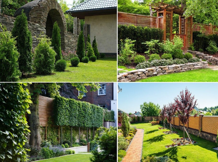 Решетка для живой изгороди