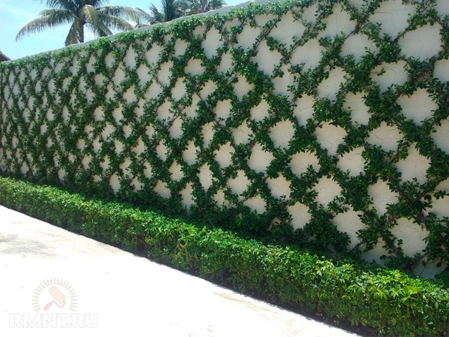 Декорирование забора на дачном участке